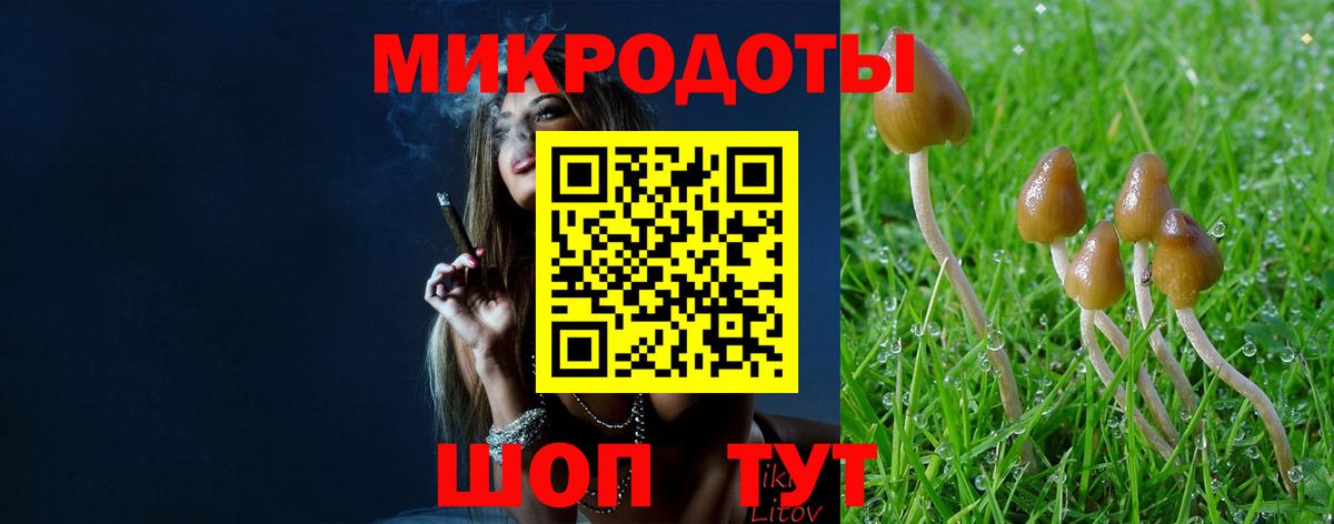Галлюциногенные грибы Magic Shrooms Кизилюрт