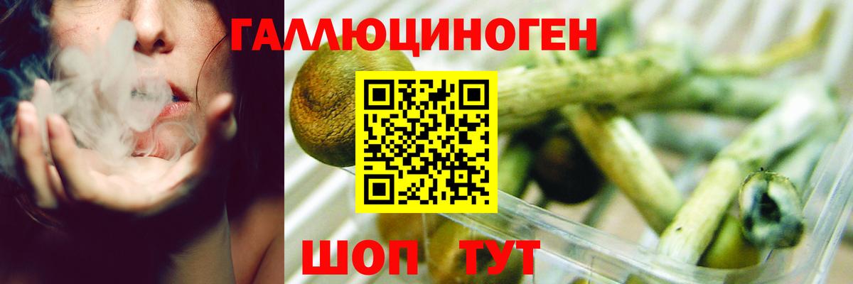 Псилоцибиновые грибы Magic Shrooms  Вход с VPN  Кизилюрт 